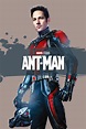Index Of Ant Man - Paul rudd, evangeline lilly, michael douglas, and ...