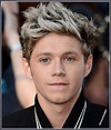 Niall Horan 2013 - One Direction Photo (35359792) - Fanpop