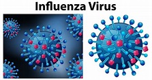 COVID19 Vs Influenza - With knowledge by Corporate Care