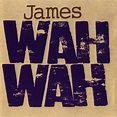James – Wah Wah (1994, CD) - Discogs