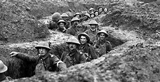 Battle of Cambrai 1917 - BAPLA