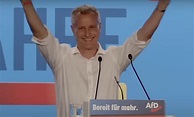 Roth, Faeser und Baerbock erleichtert: Petr Bystron geht für die AfD ...