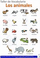 Animals in Spanish -Los animales- Spanish vocabulary A1