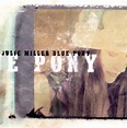 Blue Pony, Julie Miller | CD (album) | Muziek | bol