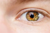 Saiba tudo sobre anatomia do olho humano | Preti Eye Institute