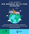 Día Mundial de la Vida Silvestre: Un llamado a valorar y conservar ...