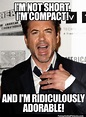 Robert Downey Jr Meme / 18 Robert Downey Jr. Memes You'll Find Amusing ...