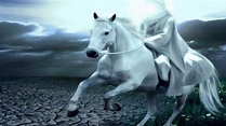 √99以上 el caballo blanco 227315-El caballo blanco houston tx