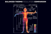 What is Thermoregulation? – Therm-ic