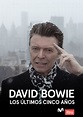 Documental: 'David Bowie, los últimos cinco años'