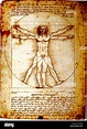 Homme de Vitruve par Leonardo da Vinci Photo Stock - Alamy