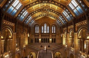 Museo de Historia Natural, Londres: Todo el año