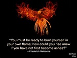 “You must be ready to burn yourself in your own flame; how could you ...