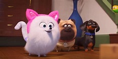 La Vida Secreta de tus Mascotas: película se estrena en febrero por ...