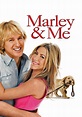 Marley & Me Picture - Image Abyss