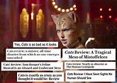Cats Movie Review Meme
