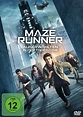 Maze Runner: Die Auserwählten in der Todeszone DVD, Kritik und Filminfo ...