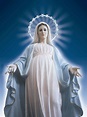 Nossa Senhora Rainha da Paz | Mother mary, Blessed mother, Our lady of ...