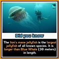 Pin by Aditri Singh on Fun facts | Amazing science facts, Unbelievable ...