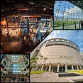 【景點推薦】新奇又好玩的「國立台灣科學教育館」，館內科學小設施讓人驚艷滿分，還有時下最夯的展覽讓你逛| 麥勾草體驗趣