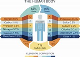Chemical Composition of the Human Body