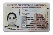 Border Crossing Card Explained - Brudner Law