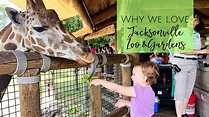 The Jacksonville Zoo: 7 Things we Love - Jacksonville Beach Moms