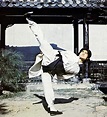Profile of John Liu - Kung-fu Kingdom Action Movie Stars, Art Advice ...