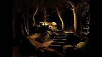 "Waldesnacht" von Paul Heyse, vom Wortmann rezitiert - YouTube