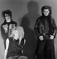 Skinny Puppy - discography, line-up, biography, interviews, photos