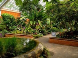 Matthaei Botanical Gardens | Insight Insider