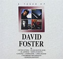 Touch Of David Foster (Shm): FOSTER,DAVID: Amazon.ca: Music