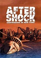 Aftershock - Earthquake In New York - vpro cinema - VPRO