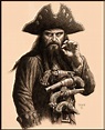 McShane Blackbeard portrait in 2020 | Pirates, Pirate art, Blackbeard