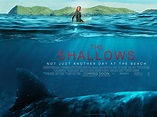 The Shallows Poster - The Shallows Wallpaper (39717769) - Fanpop