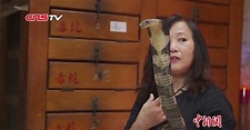 香港“蛇妹”周嘉玲：与蛇共舞的40年