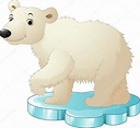 Sitting Polar Bear Dibujo Animado De Oso Polar Dibujar Caricaturas ...