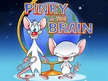 Descargar -Pinky y cerebro [Completa] [65/65] [DvdRip] [Español Latino ...