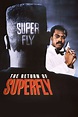 The Return of Superfly (1990) - Posters — The Movie Database (TMDB)