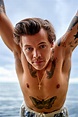 Pin by Nyx on Harry Styles photoshoots | Harry styles photoshoot, Harry ...