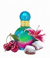 Perfume Britney Spears Fantasy Festive 30ml - Renner