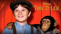 Toby Tyler or Ten Weeks with a Circus (Movie, 1960) - MovieMeter.com