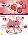 Diferencia Entre Un Paro Cardiaco Y Un Paro Respiratorio - Esta Diferencia