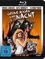 Grüne Augen in der Nacht - Eye of the Cat [Blu-ray]: Amazon.in: Movies ...