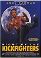 Night of the Kickfighters - la chronique de Nanarland