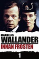 [LINEA VER] Wallander 01 - Innan Frosten 2005 Película Online ...