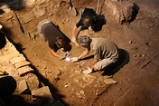 La arqueología, protagonista en las actividades de los centros cívicos ...