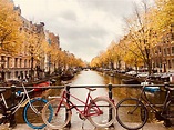 10 imprescindibles que ver y hacer en Ámsterdam - Buenos Días Mundo