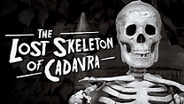 The Lost Skeleton of Cadavra (2001)