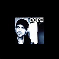 ‎The Clarence Greenwood Recordings by Citizen Cope on Apple Music